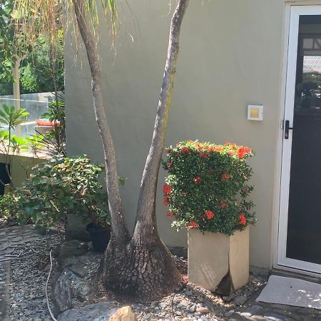 Beachfront Dolphin Cabin Oak Beach Εξωτερικό φωτογραφία