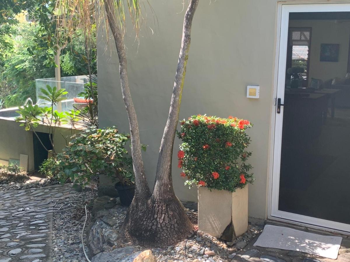 Beachfront Dolphin Cabin Oak Beach Εξωτερικό φωτογραφία